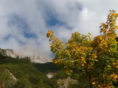 Herbst