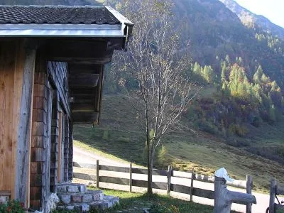 Die Huber-Alm